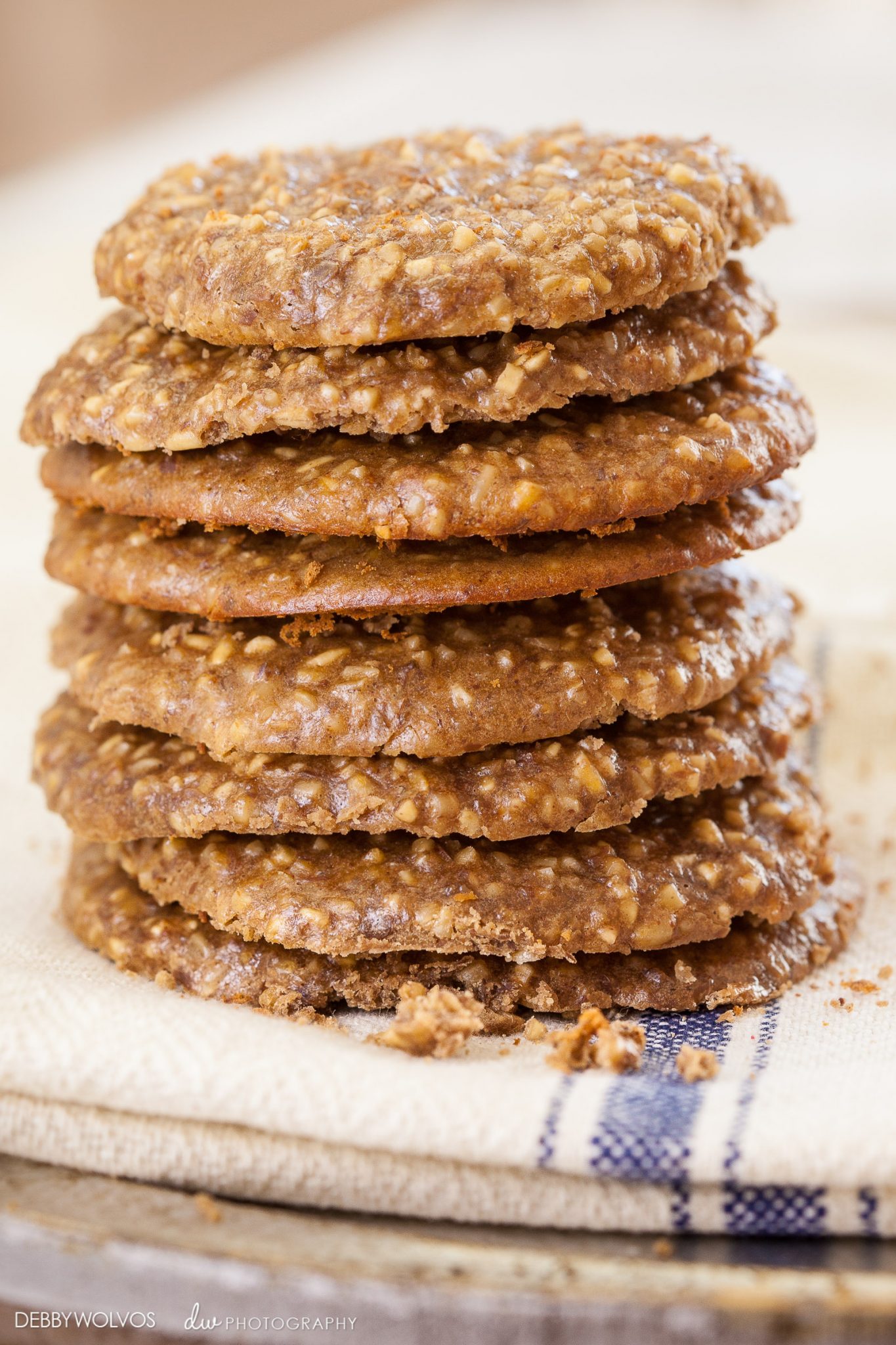 Chocolate  Protein Oat Cookies low res (1 of 2)